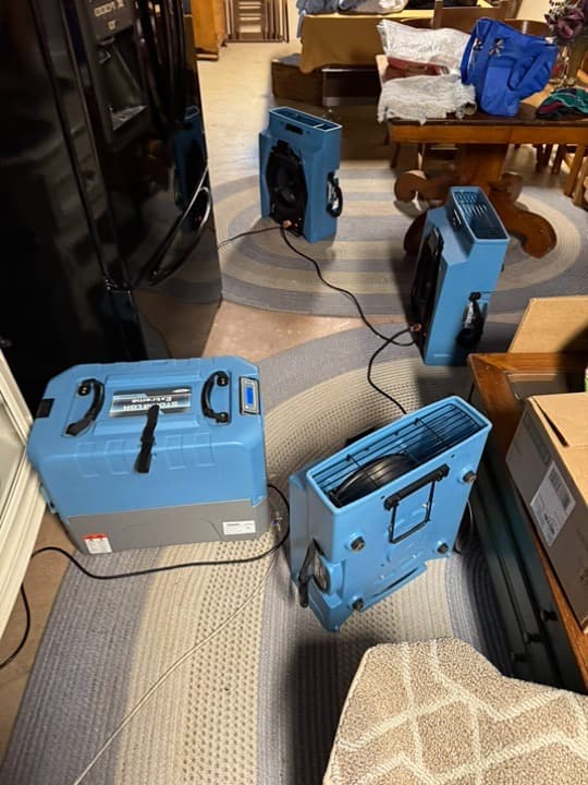 Moisture Pro team at work